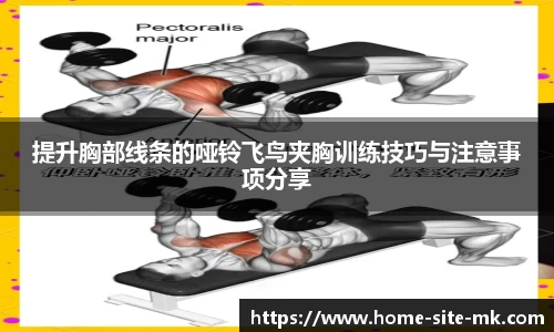 提升胸部线条的哑铃飞鸟夹胸训练技巧与注意事项分享